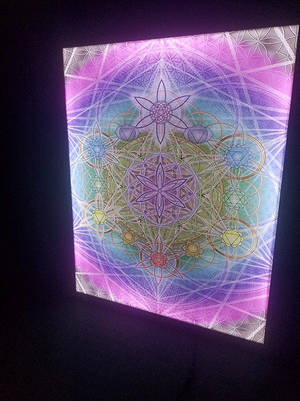 LED Lightbox for Holograms