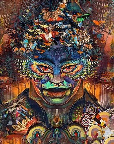 Dharma Hologram
