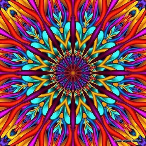 Fractal Feathers Hood